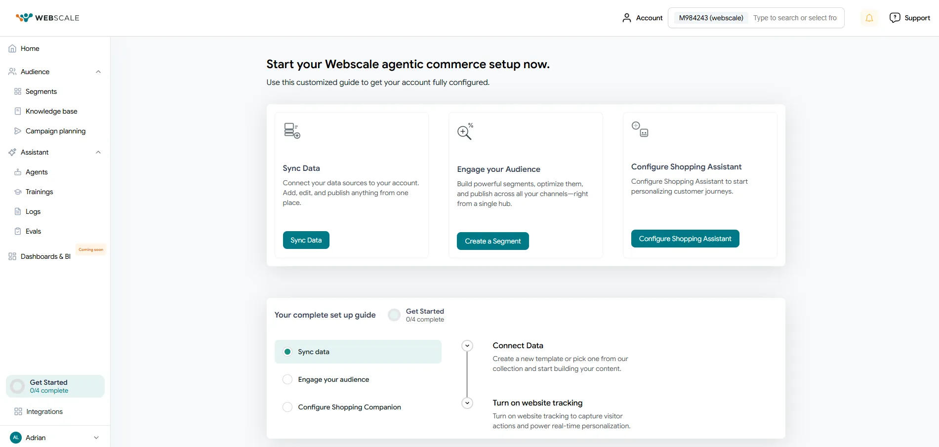 Webscale AI dashboard showing live customer segments and first-party audiences